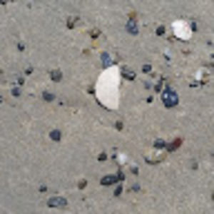 Meet your Posher, Irene